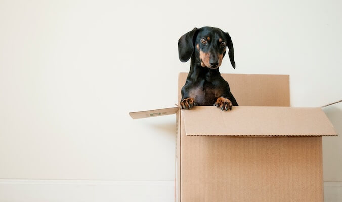 How to Cope with the Stress of Moving to a New Place